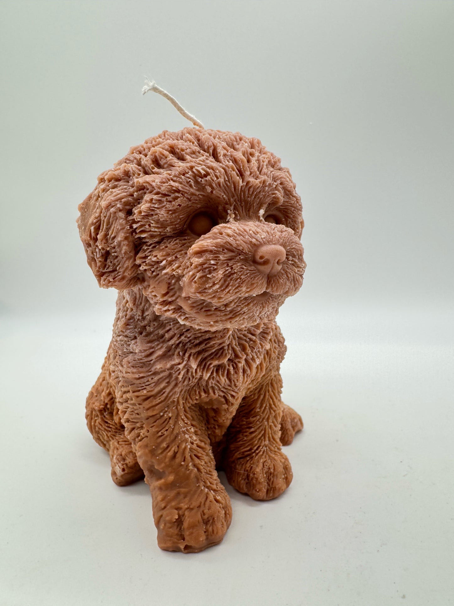 Teddy