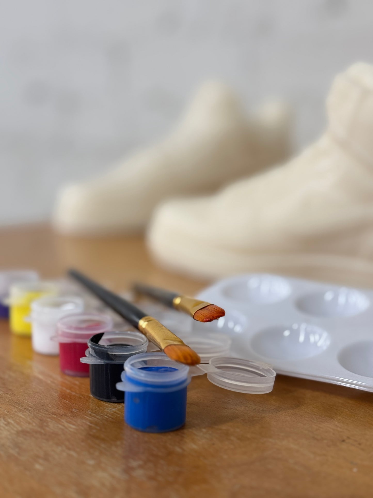 AJ1 Sneaker w/ PAINT KIT