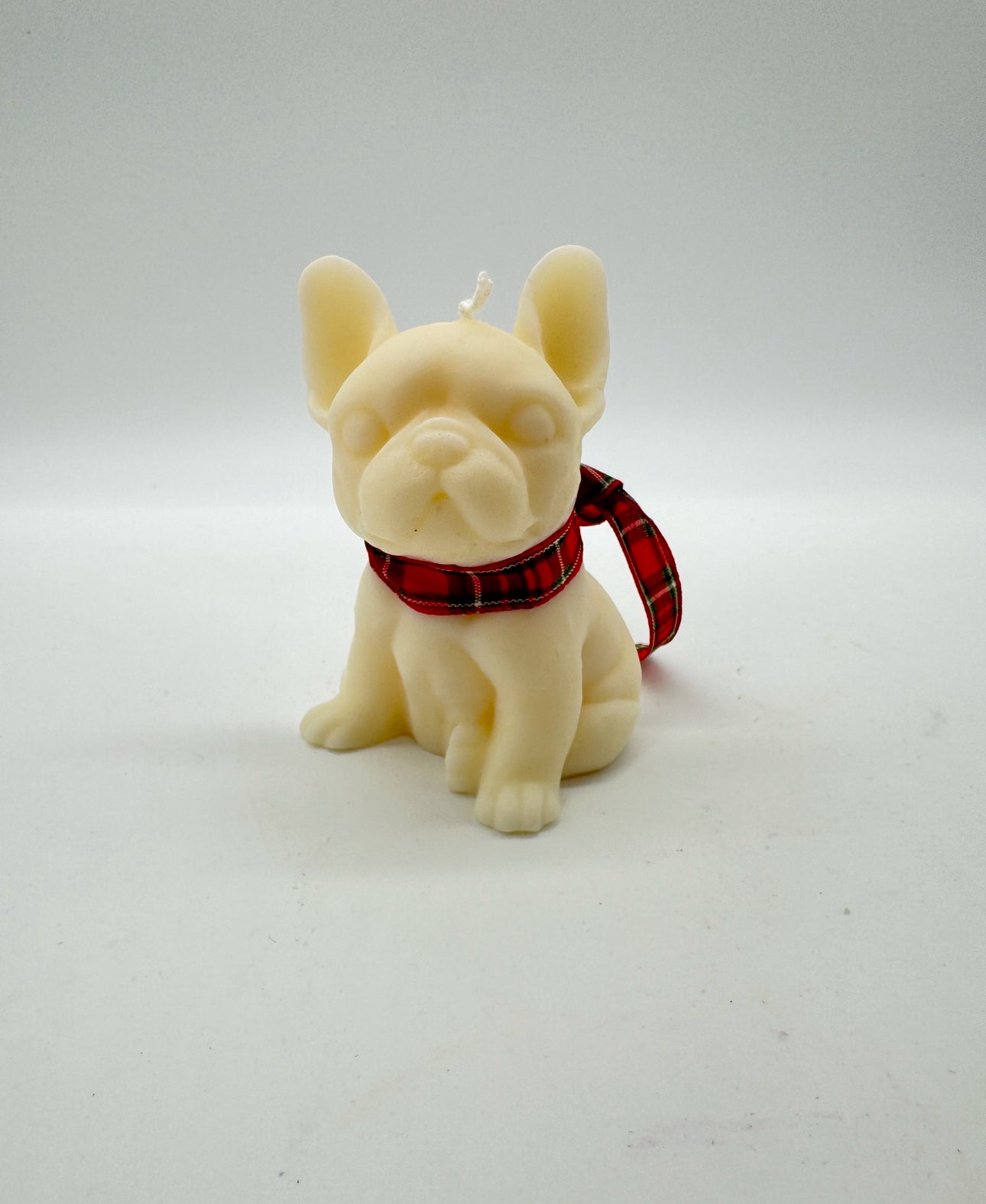 Baby Frenchie