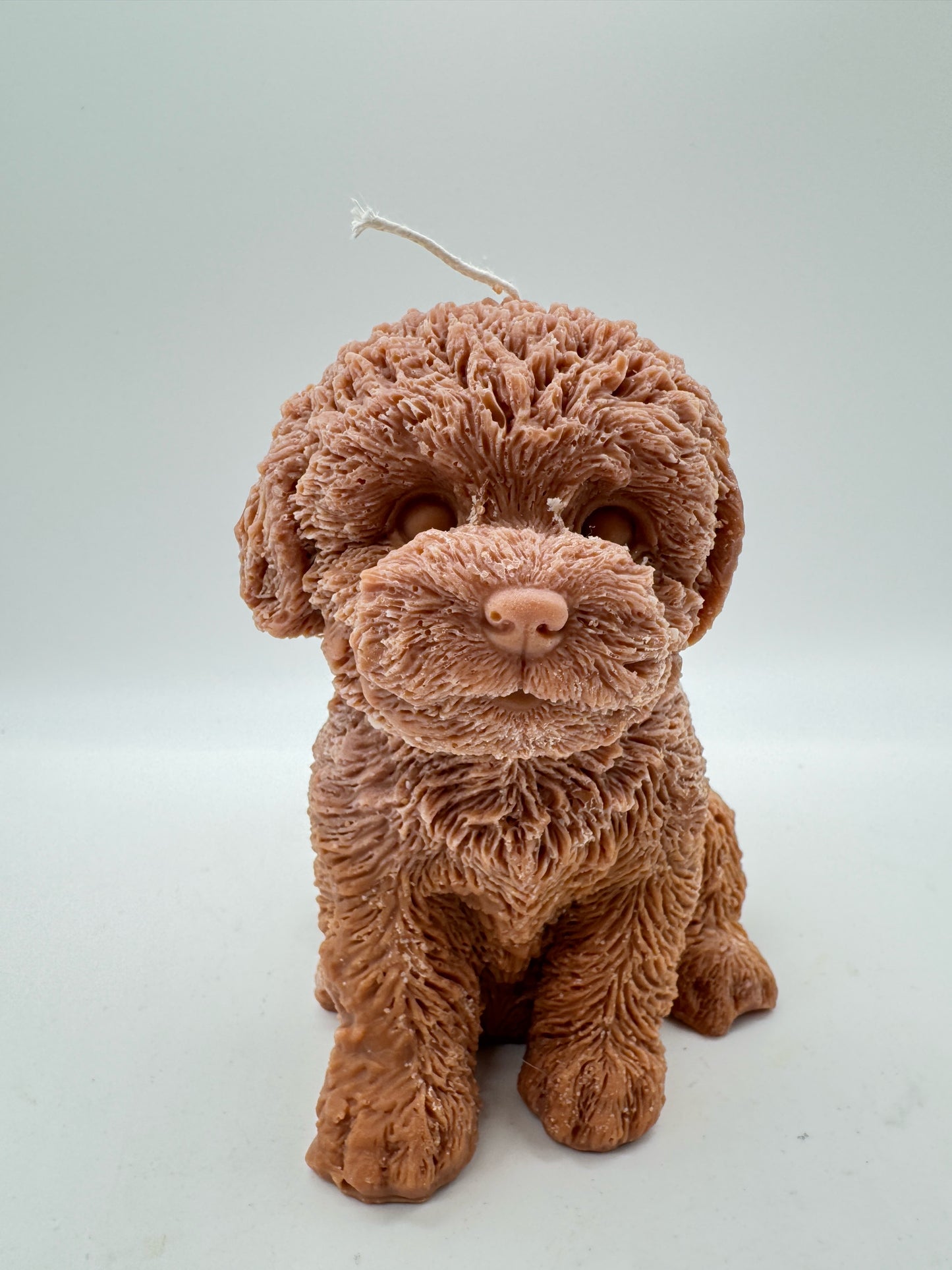 Teddy