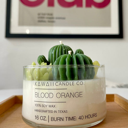 Joshua Tree Collection