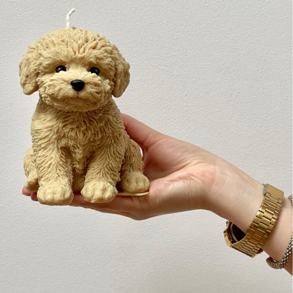 Teddy