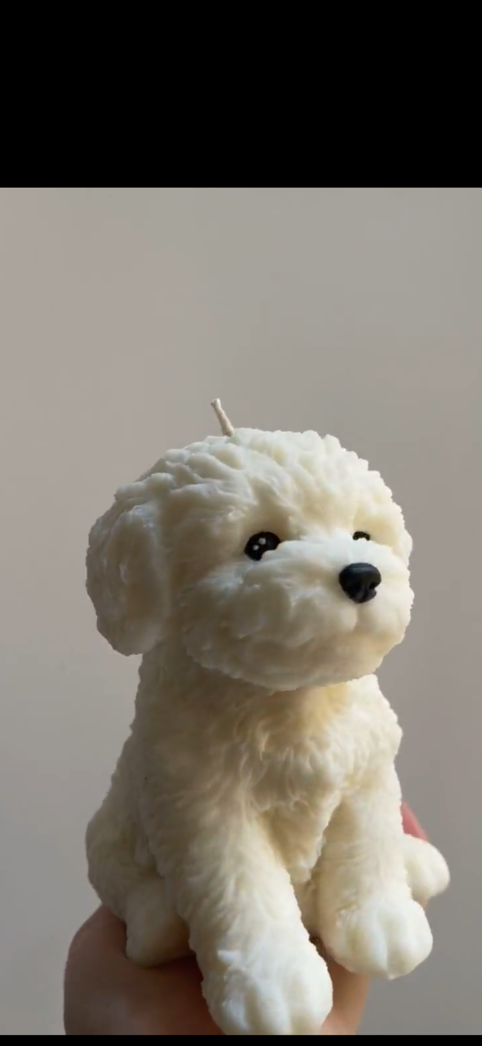 Teddy