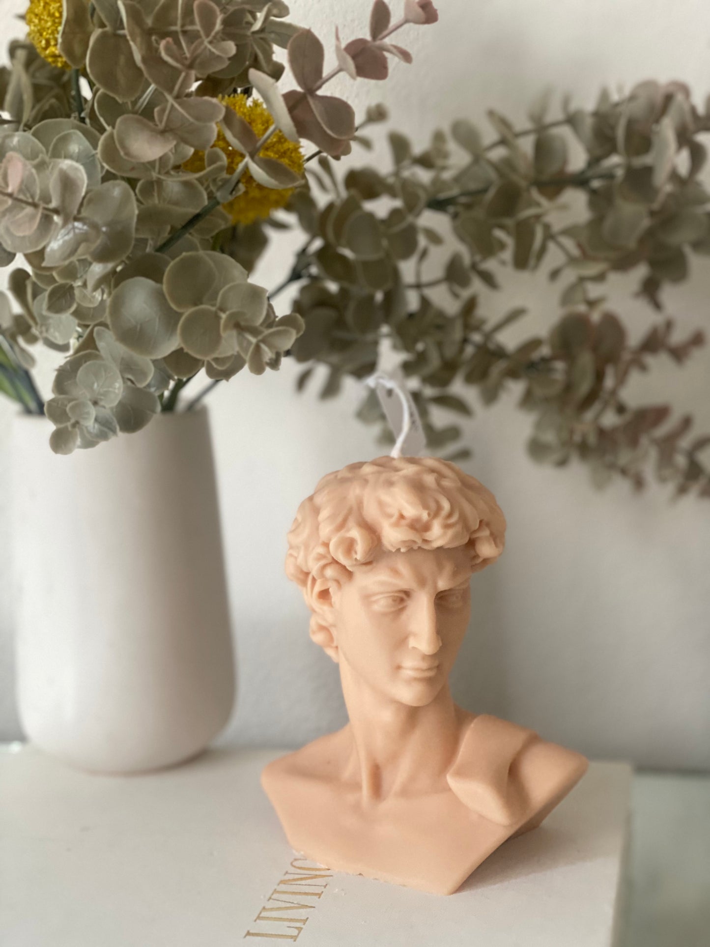 David of Michelangelo