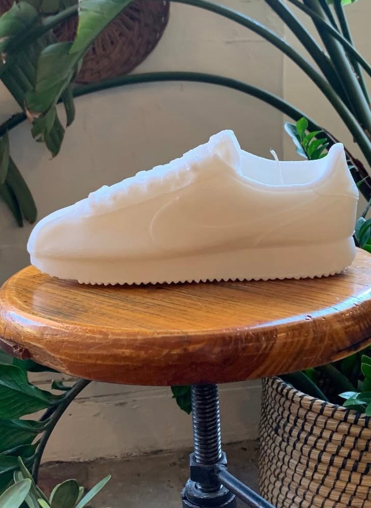 Cortez